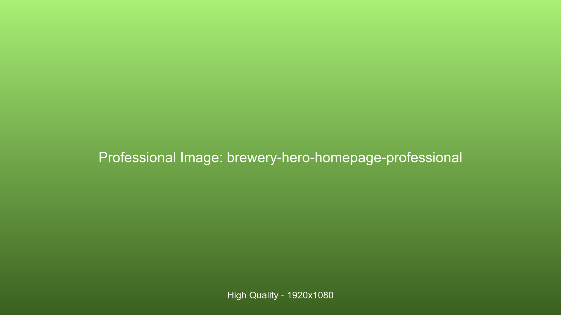 Professional brewery interior showing quality facilities