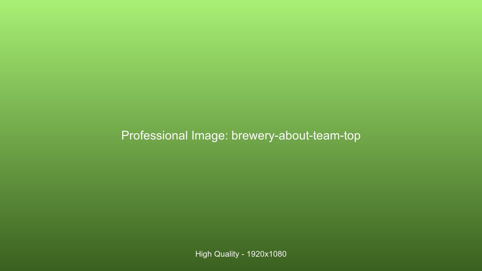 Professional team collaboration